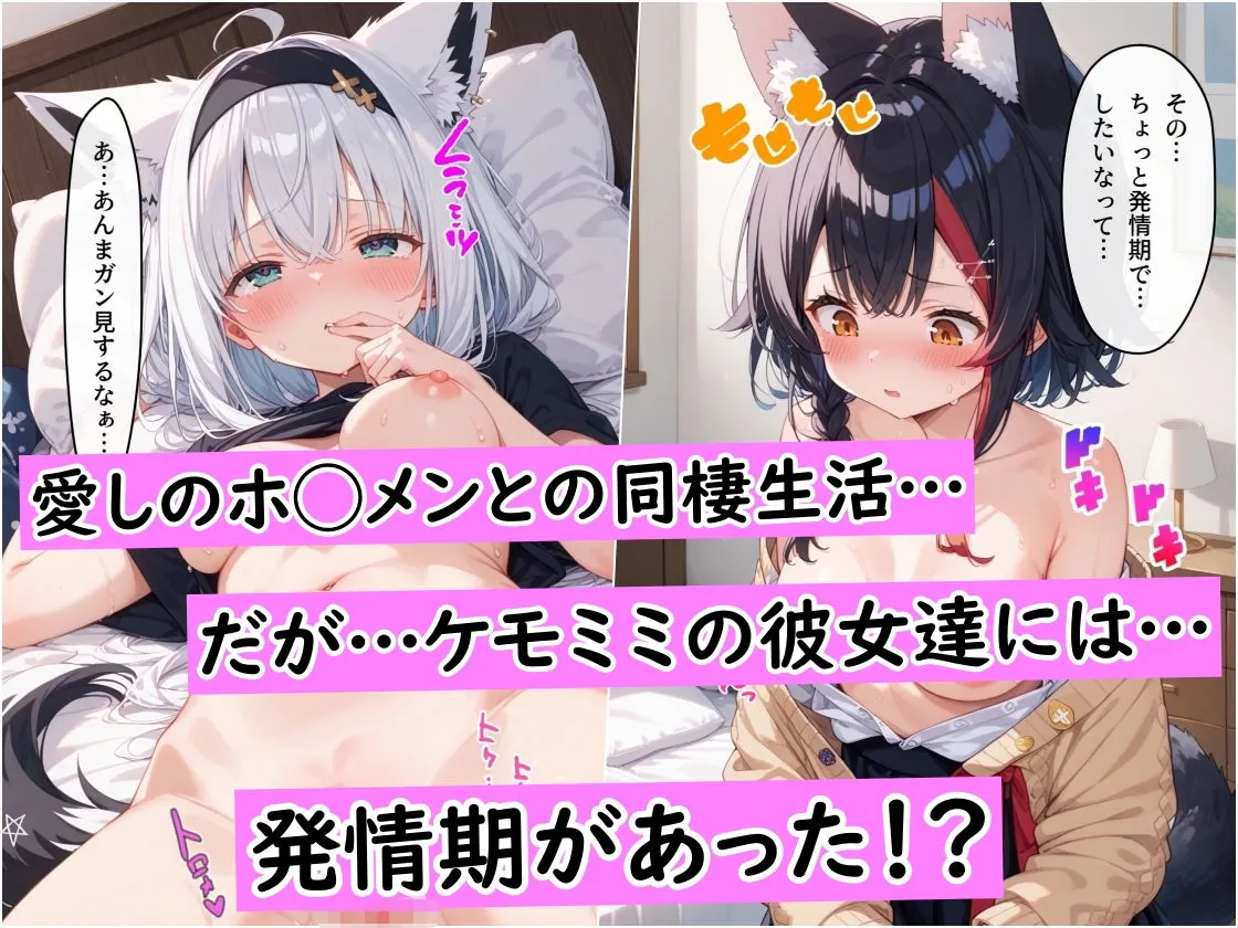 サンプル画像 0
